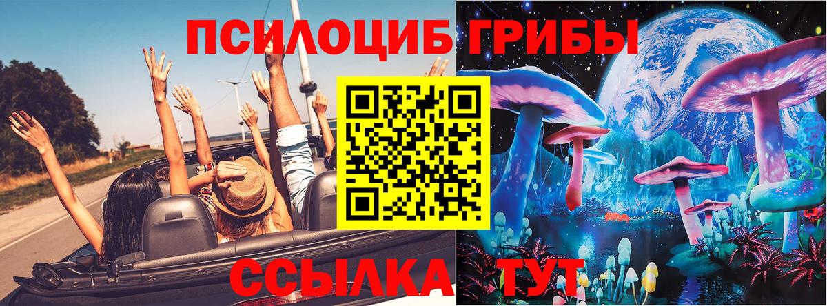 Псилоцибиновые грибы Magic Shrooms  Галлюциногенные грибы мицелий  Ачинск  Вход с VPN 